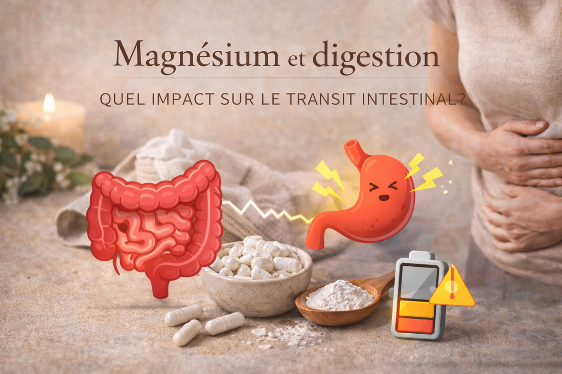 Magnésium et digestion : quel impact sur le transit intestinal ?